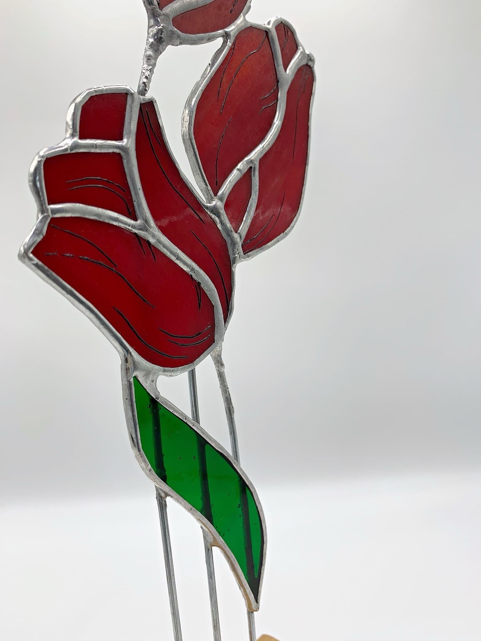 Тюльпаны preview 7