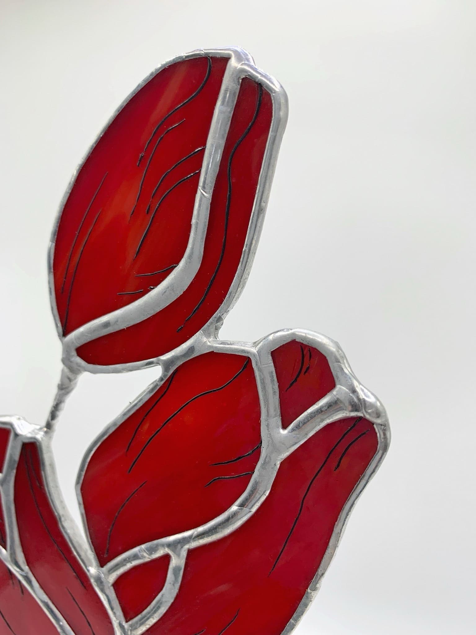 Тюльпаны preview 6