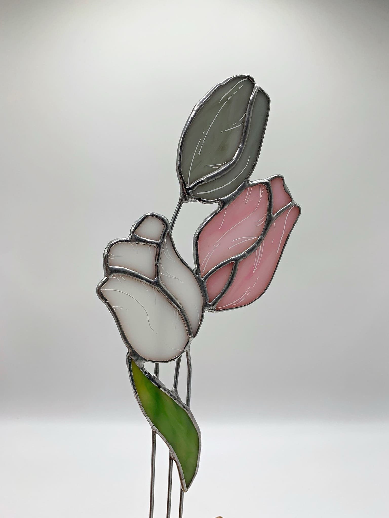 Тюльпаны preview 9