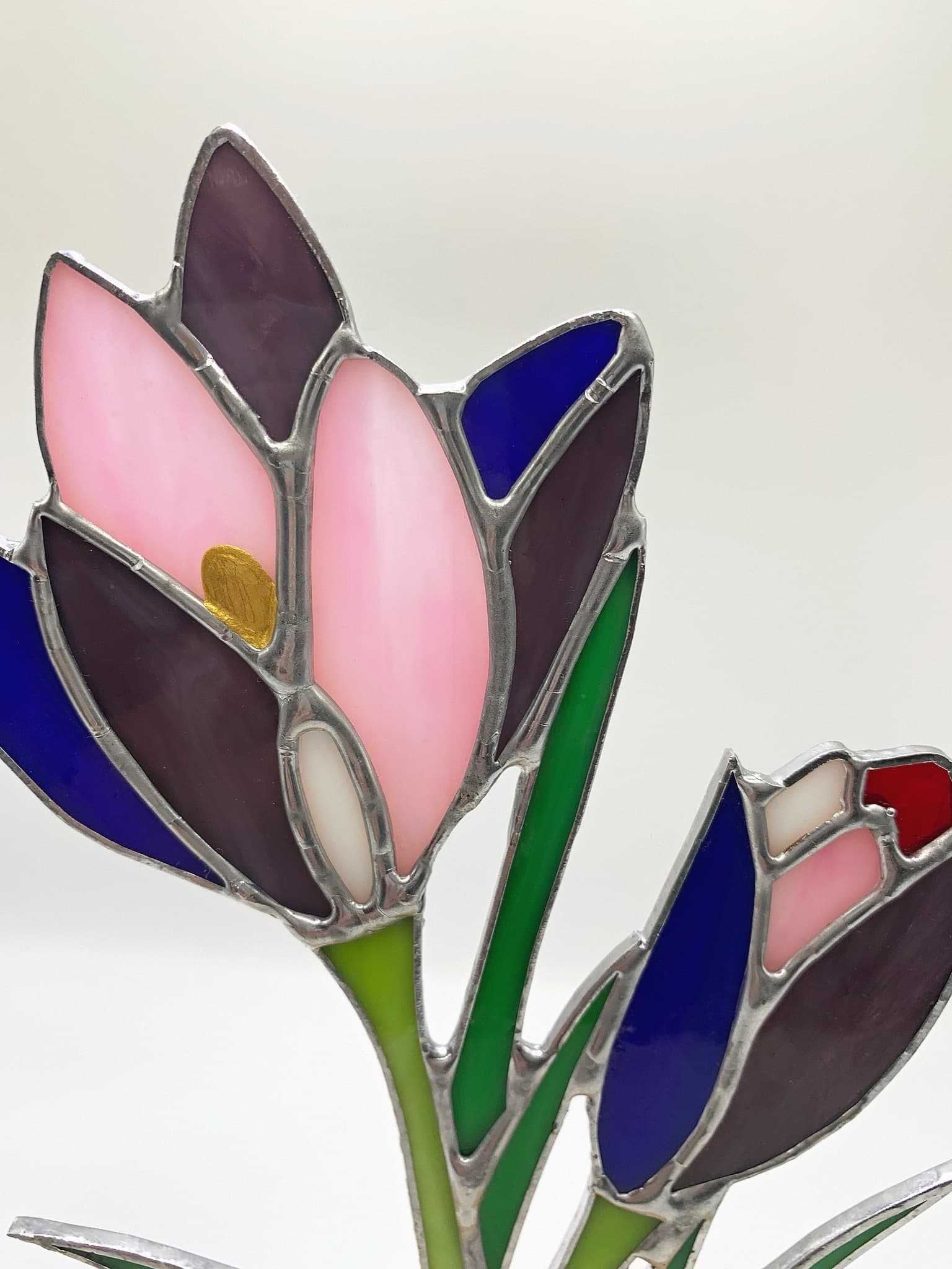 Первые цветы / Крокусы preview 4